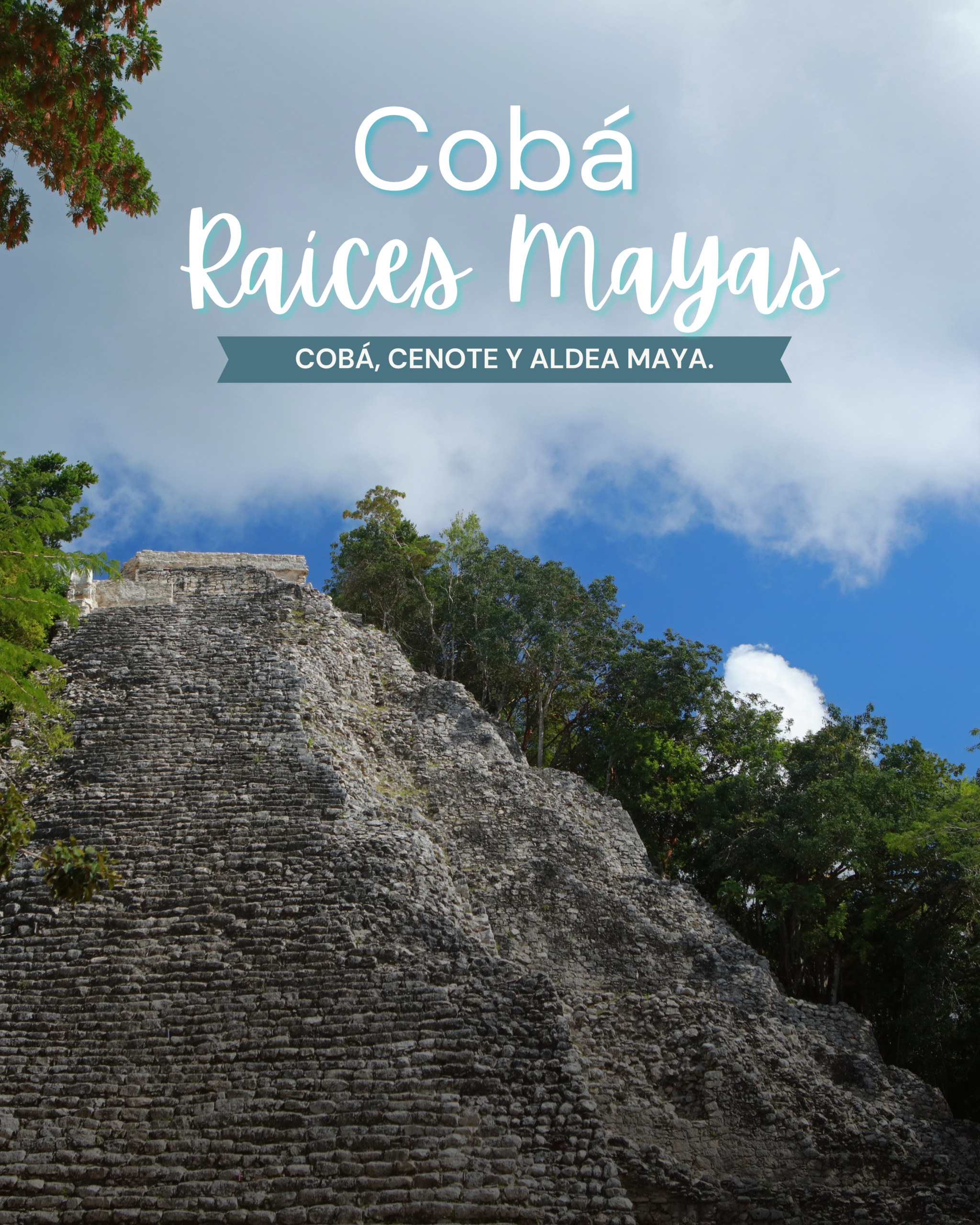 Tour Cobá selva maya